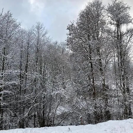 Modern Spacious In Czech Nature * Zlata Olesnice (Jablonec nad Nisou)