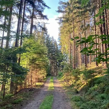 Modern Spacious In Czech Nature 公寓 Zlata Olesnice (Jablonec nad Nisou)