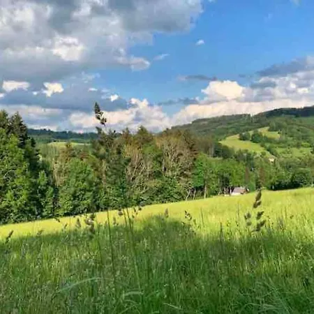 Modern Spacious In Czech Nature 公寓 Zlata Olesnice (Jablonec nad Nisou)