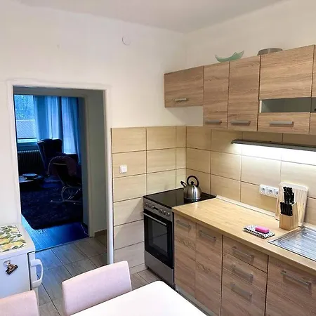 Modern Spacious In Czech Nature 公寓