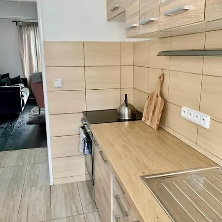 Modern Spacious In Czech Nature 公寓 Zlata Olesnice (Jablonec nad Nisou)